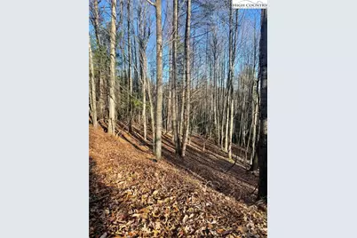 306 Marshalls Way, Jefferson, NC 28640 - Photo 8