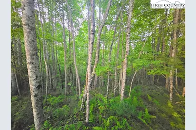 Lot 21 Eagles Landing Dr, Crumpler, NC 28617 - Photo 4