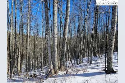 Lot 21 Eagles Landing Dr, Crumpler, NC 28617 - Photo 8