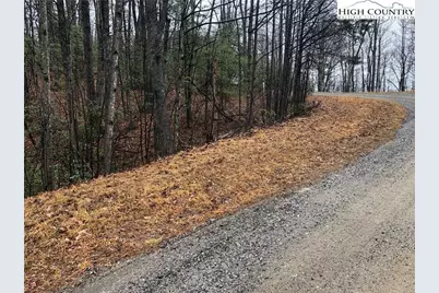Lot 105 Pepper Bush Road, Purlear, NC 28665 - Photo 6