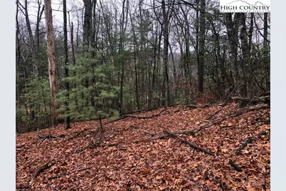 Lot 105 Pepper Bush Road, Purlear, NC 28665 - Photo 8