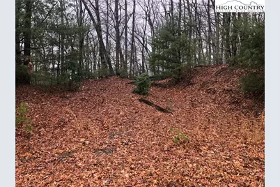 Lot 105 Pepper Bush Road, Purlear, NC 28665 - Photo 4