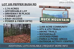 Lot 105 Pepper Bush Rd, Purlear, NC 28665 - Photo 1