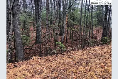 Lot 105 Pepper Bush Road, Purlear, NC 28665 - Photo 6