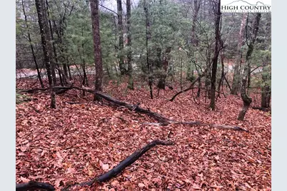 Lot 105 Pepper Bush Road, Purlear, NC 28665 - Photo 8