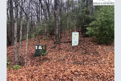 Lot 105 Pepper Bush Road, Purlear, NC 28665 - Photo 4