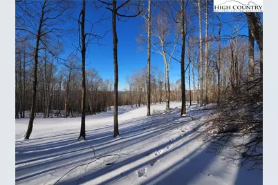 109 Blacksmith Court, Elk Park, NC 28622 - Photo 8