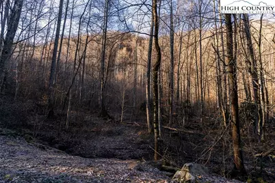 0 Dark Ridge Road, Elk Park, NC 28622 - Photo 12