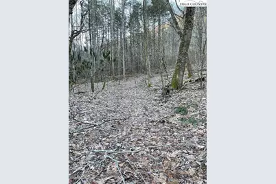0 Dark Ridge Road, Elk Park, NC 28622 - Photo 2