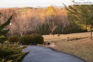 186 Woodcrest Rd, Roaring Gap, NC 28668 - Photo 38