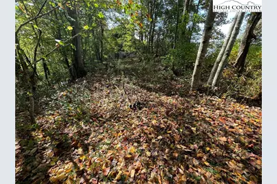 Tbd Autumn Run, West Jefferson, NC 28694 - Photo 4