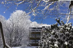 103 Mid Holiday Ln, Beech Mountain, NC 28604 - Photo 18