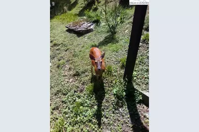 103 Mid Holiday Lane #D214, Beech Mountain, NC 28604 - Photo 20