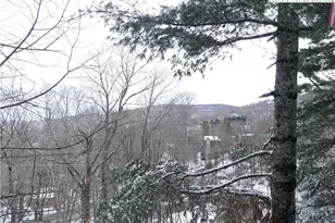 103 Mid Holiday Ln, Beech Mountain, NC 28604 - Photo 14