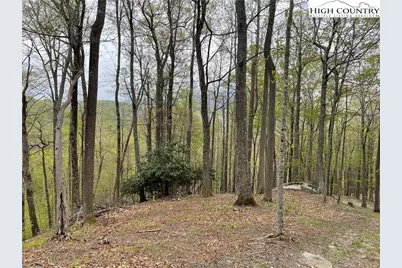 Lot 43 Poplar Forest Drive, Boone, NC 28607 - Photo 14