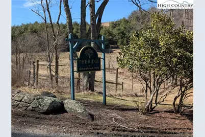 Lot 4 Running Cedar Lane, Crumpler, NC 28617 - Photo 2