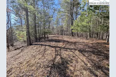 Lot 4 Running Cedar Lane, Crumpler, NC 28617 - Photo 10