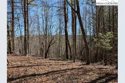 Lot 4 Running Cedar Lane, Crumpler, NC 28617 - Photo 1