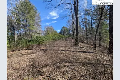 Lot 4 Running Cedar Lane, Crumpler, NC 28617 - Photo 8