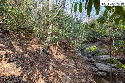 Lot 46 Falls Creek Parkway, Elk Park, NC 28622 - Photo 18