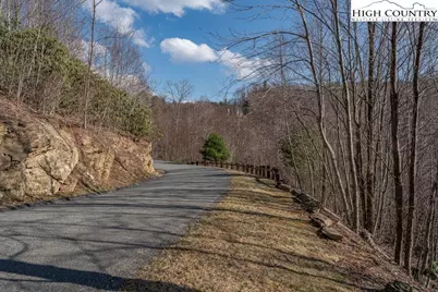 Lot 46 Falls Creek Parkway, Elk Park, NC 28622 - Photo 8