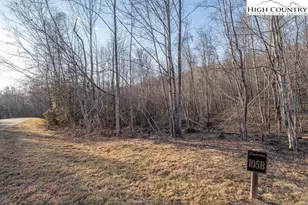 105B Beaver Dam Rd, Elk Park, NC 28622 - Photo 1