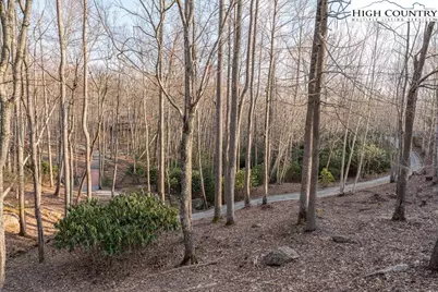 105B Beaver Dam Road, Elk Park, NC 28622 - Photo 14