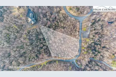 105B Beaver Dam Road, Elk Park, NC 28622 - Photo 2