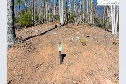 Lot 54 Wildcat Wilderness Parkway, Deep Gap, NC 28618 - Photo 2