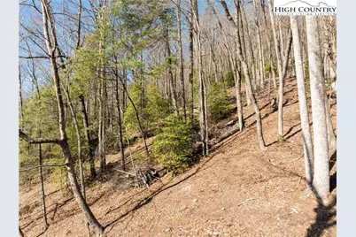 Lot 54 Wildcat Wilderness Parkway, Deep Gap, NC 28618 - Photo 14