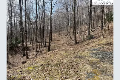 Unk Maple Branch Road, West Jefferson, NC 28694 - Photo 4