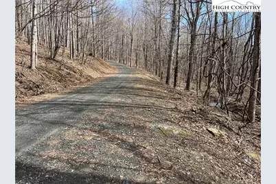 Unk Maple Branch Road, West Jefferson, NC 28694 - Photo 2