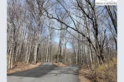 Unk Maple Branch Road, West Jefferson, NC 28694 - Photo 6