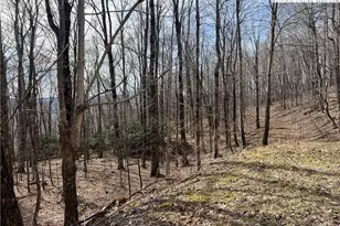 Unk Maple Branch Rd, West Jefferson, NC 28694 - Photo 1