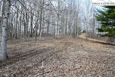 Lot #10 Solitude Lane, Todd, NC 28684 - Photo 10