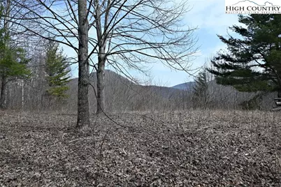 Lot #10 Solitude Lane, Todd, NC 28684 - Photo 16