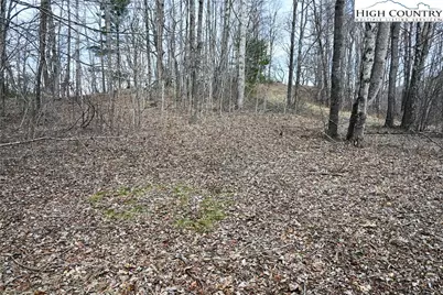Lot #10 Solitude Lane, Todd, NC 28684 - Photo 8