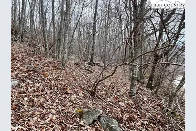 105 Thistle Lane, Beech Mountain, NC 28604 - Photo 2