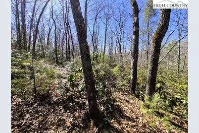 Lot 35 Smoke Rise Path, West Jefferson, NC 28694 - Photo 10