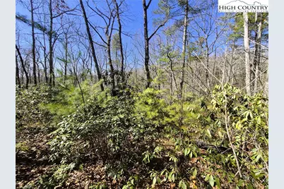 Lot 35 Smoke Rise Path, West Jefferson, NC 28694 - Photo 6