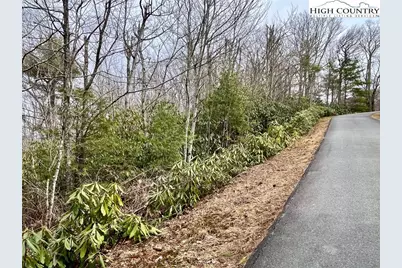 Tbd Chestnut Mountain Road, Banner Elk, NC 28604 - Photo 1