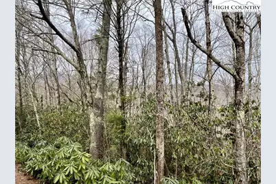 Tbd Chestnut Mountain Road, Banner Elk, NC 28604 - Photo 8