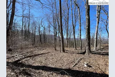 Tbd Lot #2 Olde Stone Ridge, Crumpler, NC 28617 - Photo 8