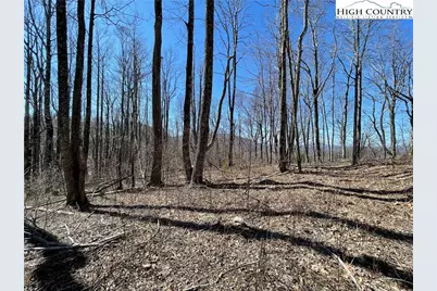 Tbd Lot #2 Olde Stone Ridge, Crumpler, NC 28617 - Photo 2