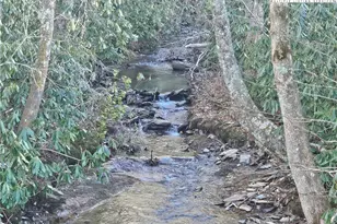 Lot #1 Creekside Meadows Ct, Linville, NC 28646 - Photo 1