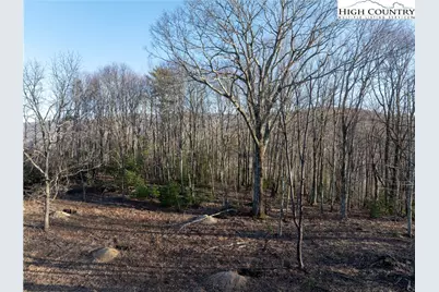 Wr-41 Clouds Rest Drive, Elk Park, NC 28604 - Photo 4