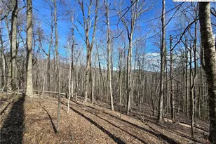 Tbd Parkway Estates Rd, Laurel Springs, NC 28644 - Photo 1