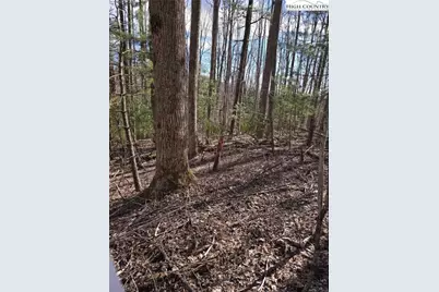 Tbd Parkway Estates Rd, Laurel Springs, NC 28644 - Photo 6