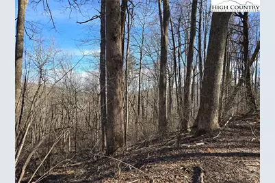 Tbd Parkway Estates Rd, Laurel Springs, NC 28644 - Photo 8