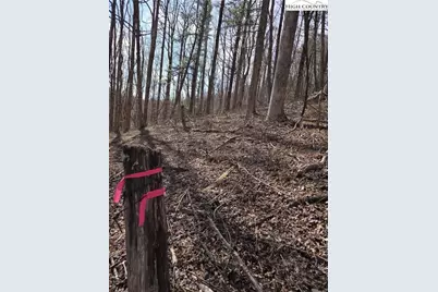 Tbd Parkway Estates Rd, Laurel Springs, NC 28644 - Photo 12